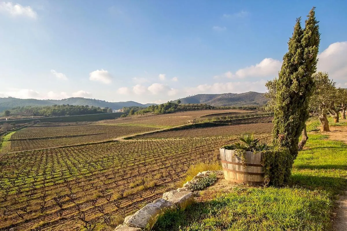 Catalunya Casas Captivating Villa In The Vineyard Close To Sitges Bisbal del Penedes