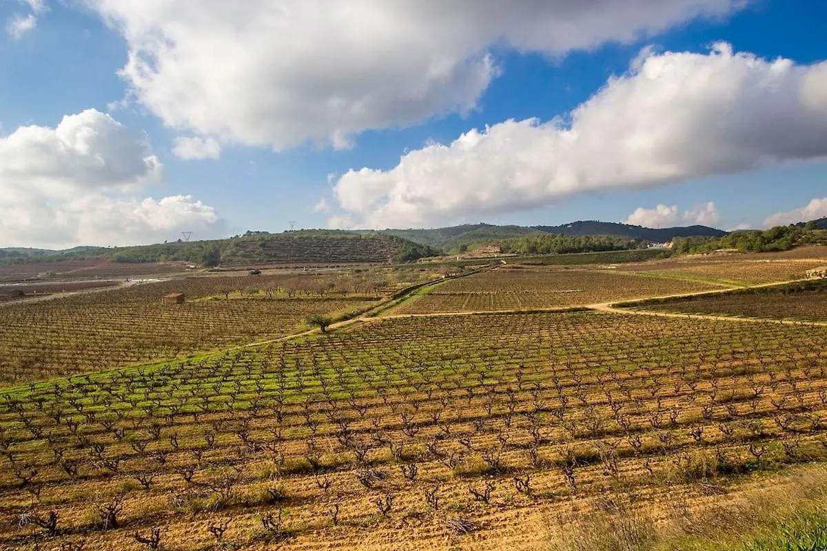 Catalunya Casas Captivating Villa In The Vineyard Close To Sitges Bisbal del Penedes
